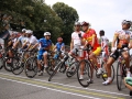 ecp_2011_1_1612