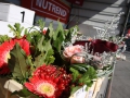 ecp_2011_1_939