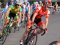 ecp2014_ne3_310