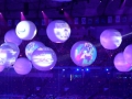 24954_1279859791608_1083444716_30720423_7623063_n
